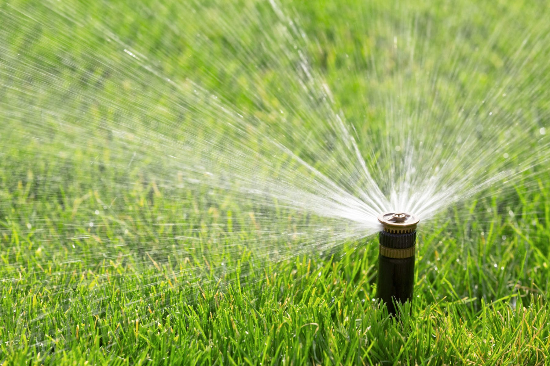 Automatic sprinkler watering lawn