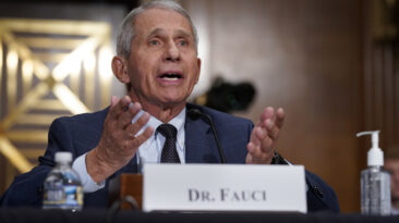 Senator Rand Paul expressed his frustrations over new revelations of the recently retired ex-NIAID Director Dr. Anthony Fauci’s taxpayer-reimbursed privileges.