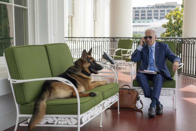 The Biden family's two-year-old German Shepherd named Commander bit a Secret Service agent on Monday evening—the eleventh biting incident since 2021. (Adam Schultz/The White House via AP)