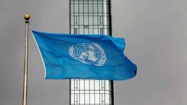 A United Nations (UN) spokesperson announced the creation of a worldwide anti-misinformation censorship crusade against independent social media users.