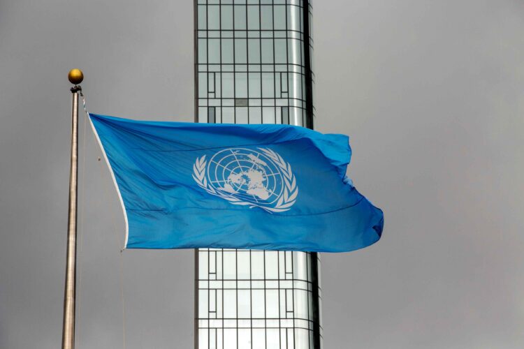 A United Nations (UN) spokesperson announced the creation of a worldwide anti-misinformation censorship crusade against independent social media users.