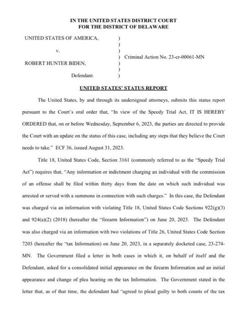 According to court filings made public on Wednesday, Special Counsel David Weiss will indict Hunter Biden on new gun-related charges by the end of September.