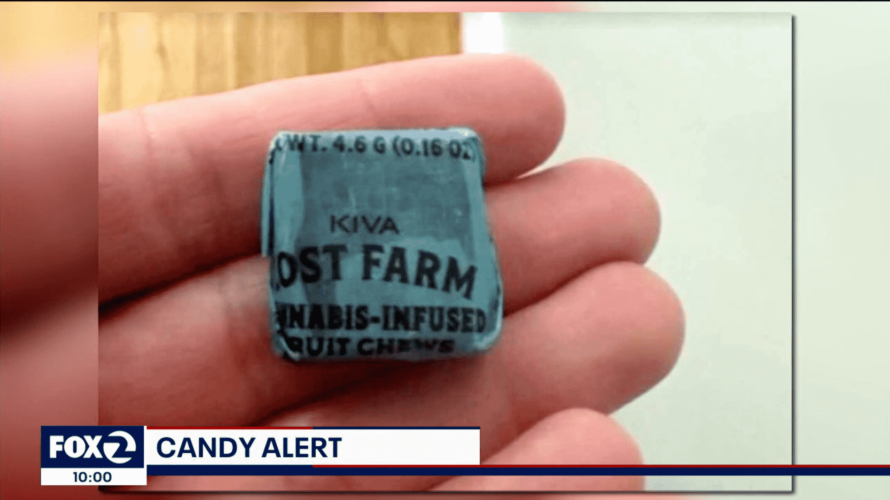 Police departments in California put out a warning to parents after a child ate a THC-infused piece of candy given out at a Halloween school event.