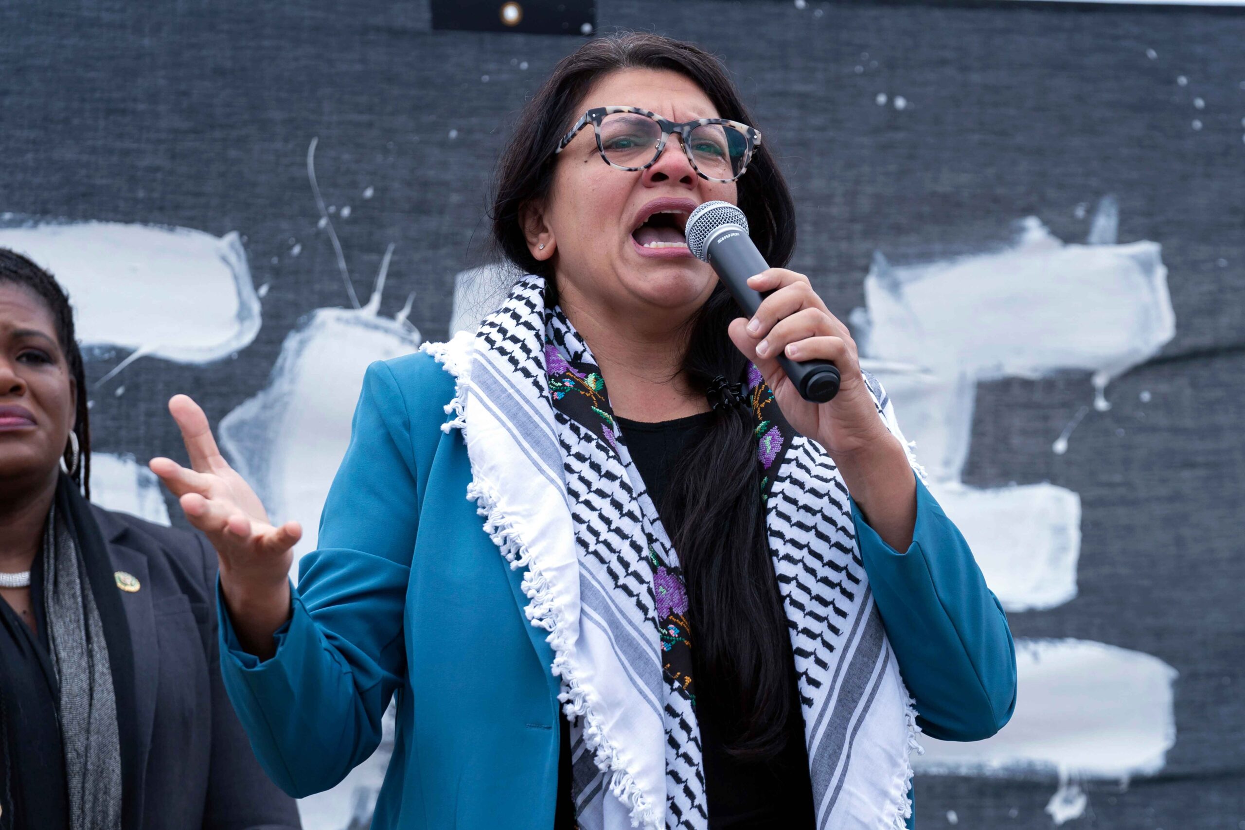 A Democrat PAC funded by LinkedIn co-founder Reid Hoffman is considering funding primary challengers against anti-Israel Reps. Rashida Tlaib and Cori Bush. (AP Photo/Jose Luis Magana)