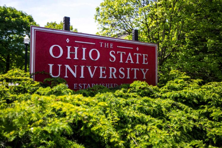 A health sciences course at Ohio State University required students to “confront” their heterosexual or White privilege in the latest example of college DEI.