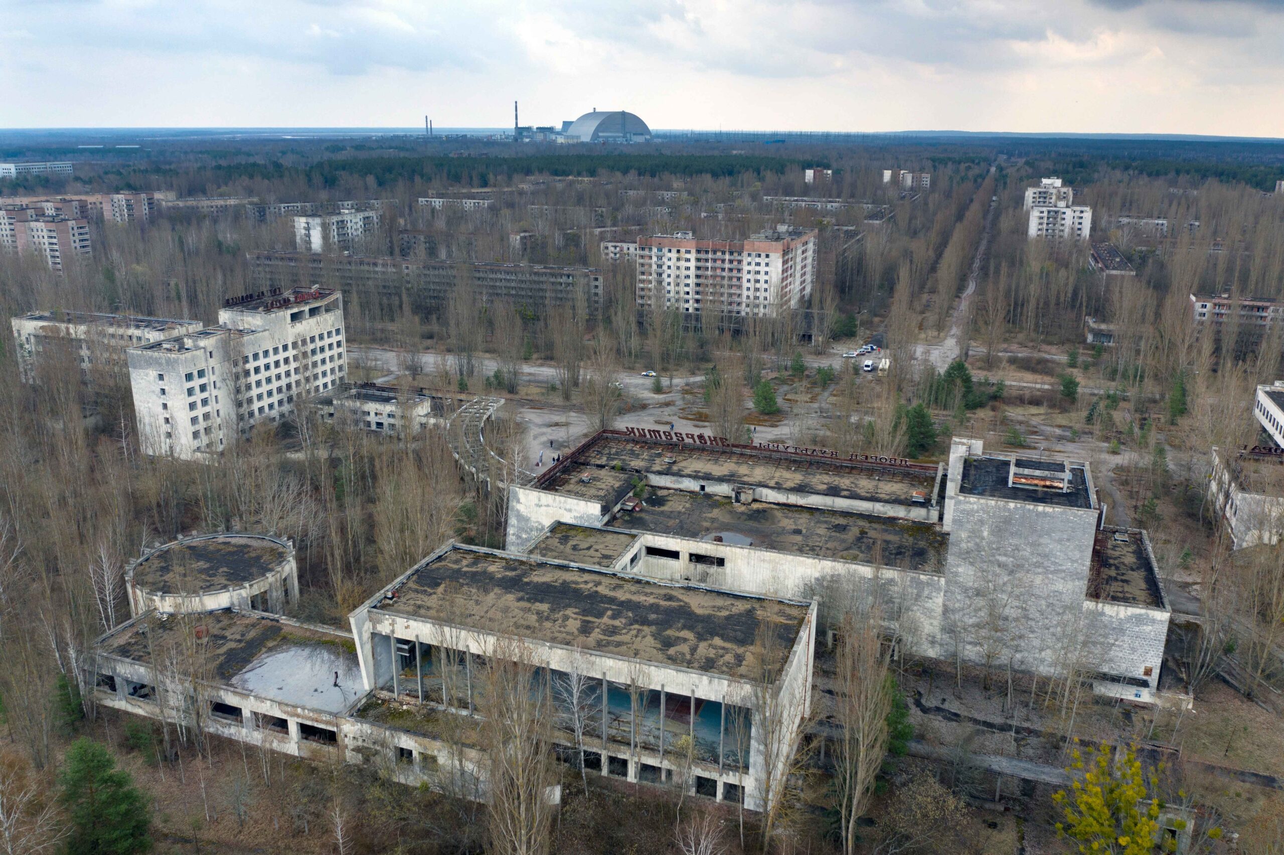 The wolves roaming the abandoned, radioactive streets of Chernobyl present a surprising resistance to cancer, suggesting possible treatments for humans.