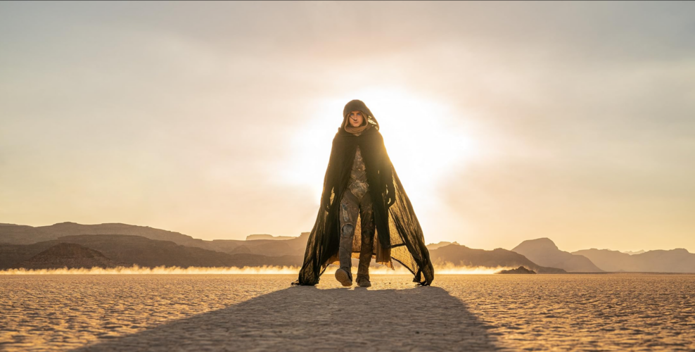 “Dune: Part Two” pulled in $81.5 million in its domestic opening weekend and $178.5 million internationally—more than any other theatrical release this year. (Photo Courtesy of Warner Media - © Warner Media)