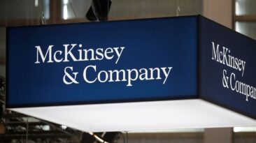 Studies by McKinsey and Company used to promote DEI in corporations, government departments, and the US Military have been questioned for flawed methodology.