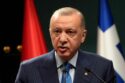 Turkish President Recep Tayyip Erdogan warned that Israel will invade Turkey once it defeats Hamas, justifying his support for the Palestinian militant group.