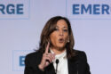Senate Democrats are divided over whether Kamala Harris should pursue a presidential run in 2028 after her loss to Donald Trump, but many are not ruling it out.