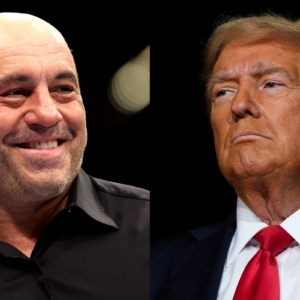 A long-awaited sit-down between Donald Trump and Joe Rogan may finally be in the works, multiple sources, including Trump himself, are suggesting.