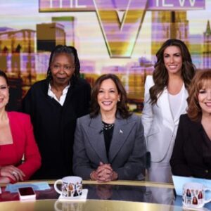 Following Donald Trump's recent electoral victory, ABC executives are reportedly in "panic mode" as they seek to incorporate pro-Trump voices on "The View."